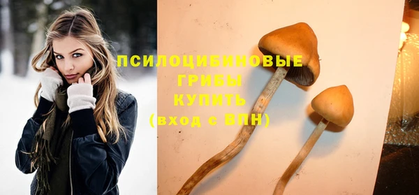 СК Нефтекумск