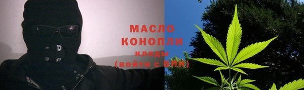 прущие грибы Бердск
