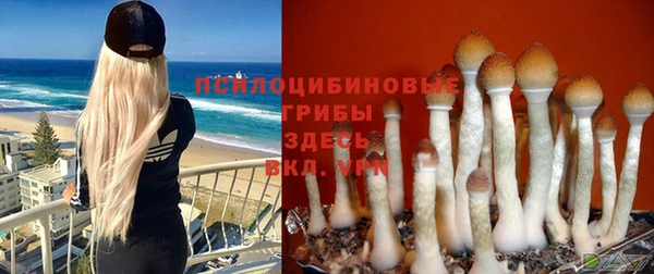 гидропоника Артём