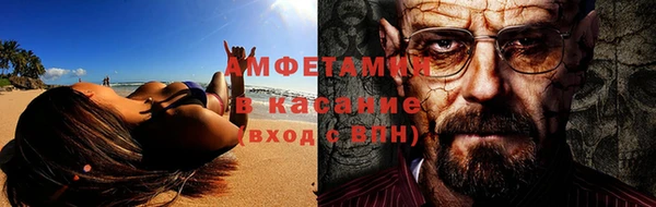 прущие грибы Бердск