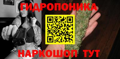 трава Бийск