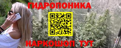 дживик Гусь-Хрустальный