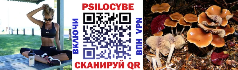 Псилоцибиновые грибы Psilocybe  даркнет сайт  Миасс 