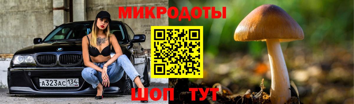 Галлюциногенные грибы Psilocybine cubensis Миасс
